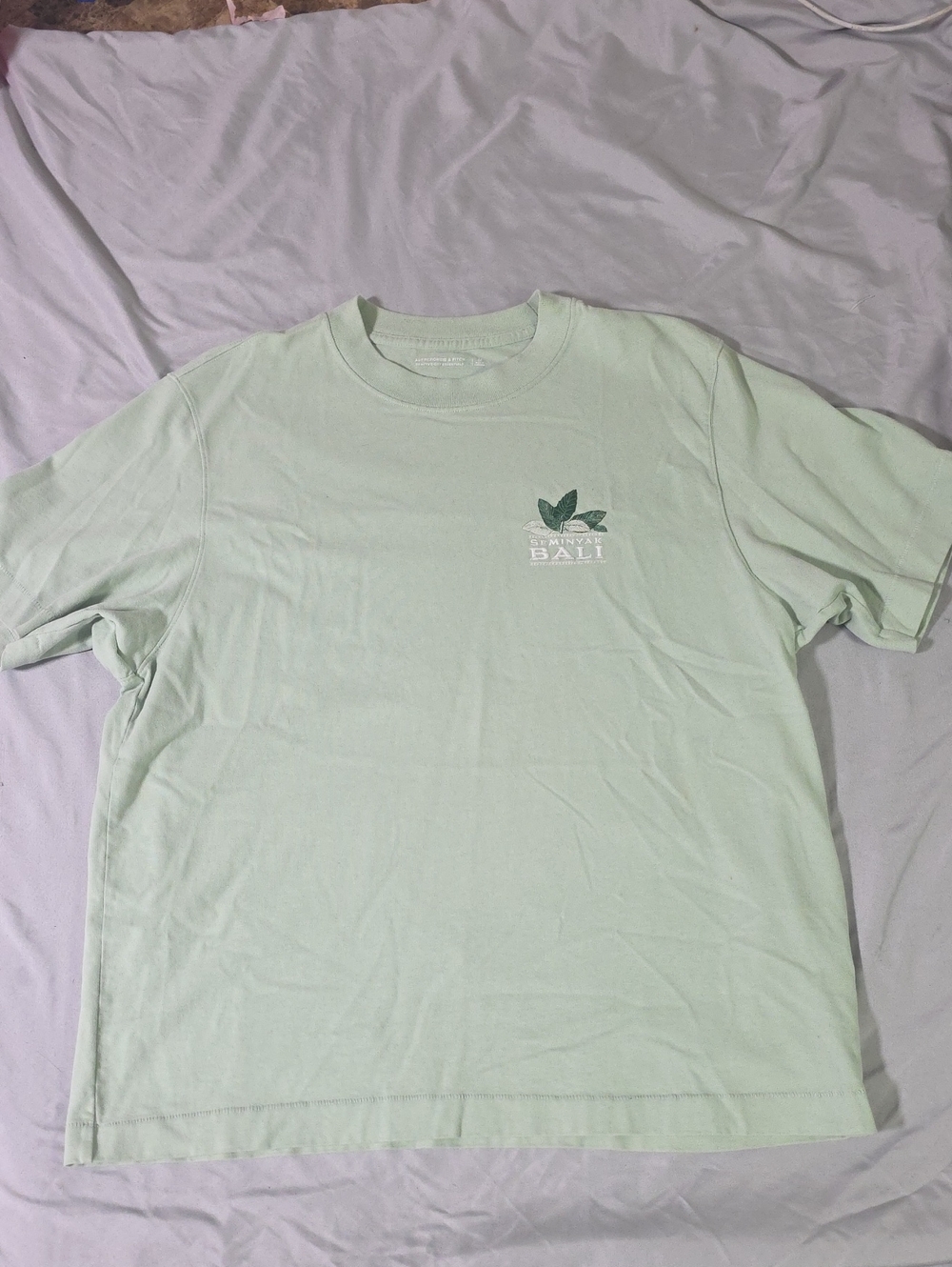 Abercrombie & Fitch Light Mint Tee with Small Leaf Graphic
